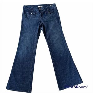 GAP Limited Edition Mid Rise Flare Jeans